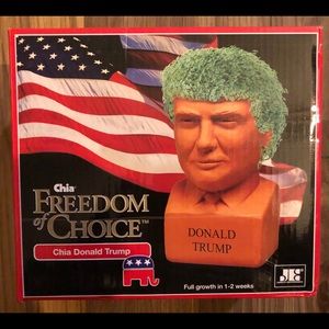 President Donald Trump Chia pet